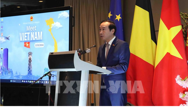 Vietnam seeks measures to promote cooperation with Belgium