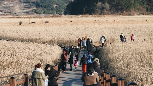 RoK’s Jeonllanam-do province extends visa exemption period for Vietnamese tourists