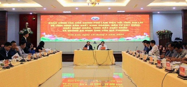 Gia Lai urged to promote administrative reform