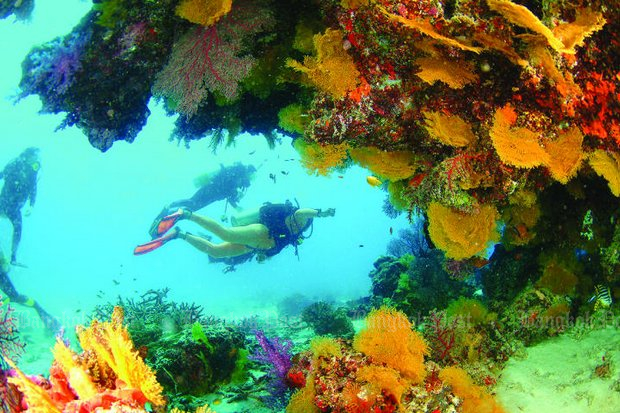 Thailand works to conserve coral reefs