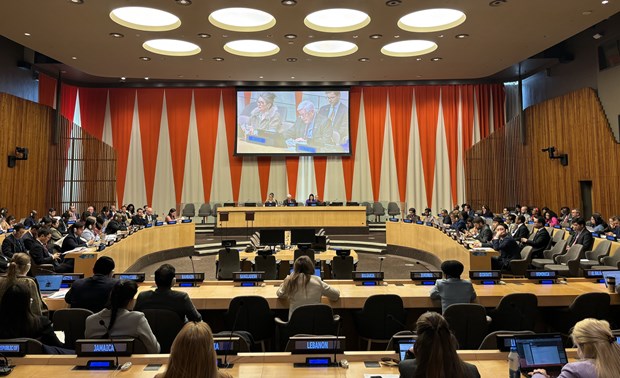 Vietnam elected to UN Women’s Executive Board for 2025-2027