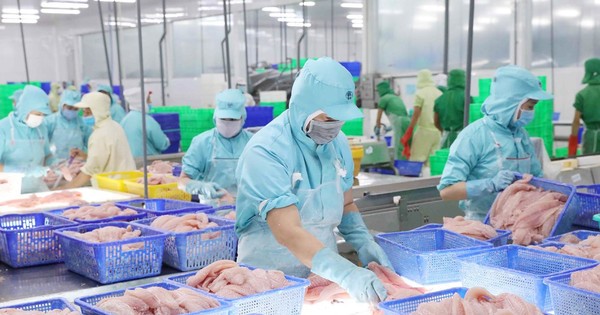 Pangasius exports to Canada skyrocket