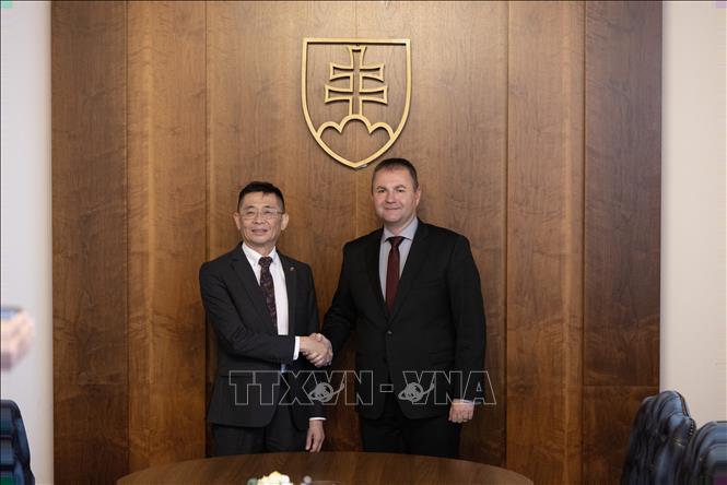 Vietnam and Slovakia promote delegation exchange