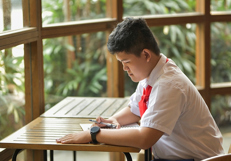 Da Nang student wins first place at final round for 53rd UPU