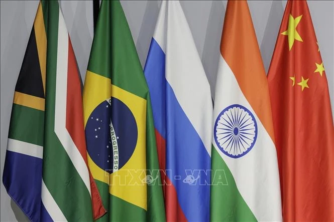 Vietnam pays attention to BRICS membership expansion spokewoman