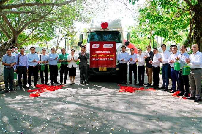Dong Thap exports 15 tons of frozen lotus roots to Japan