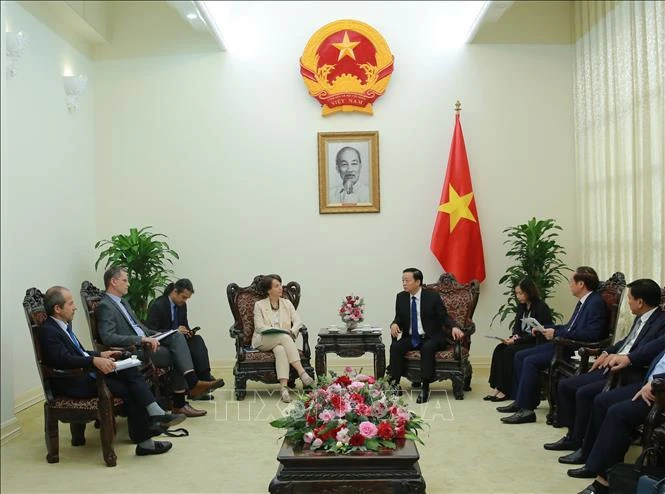 Vietnam, AFD strengthen cooperation, promote energy transition