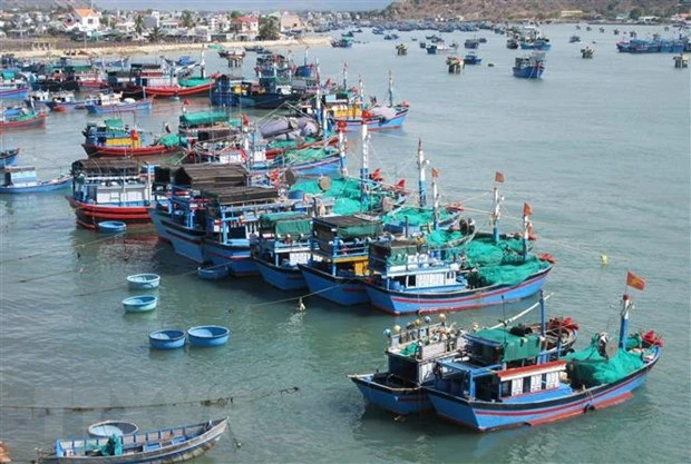 Vietnam striving to combat IUU fishing