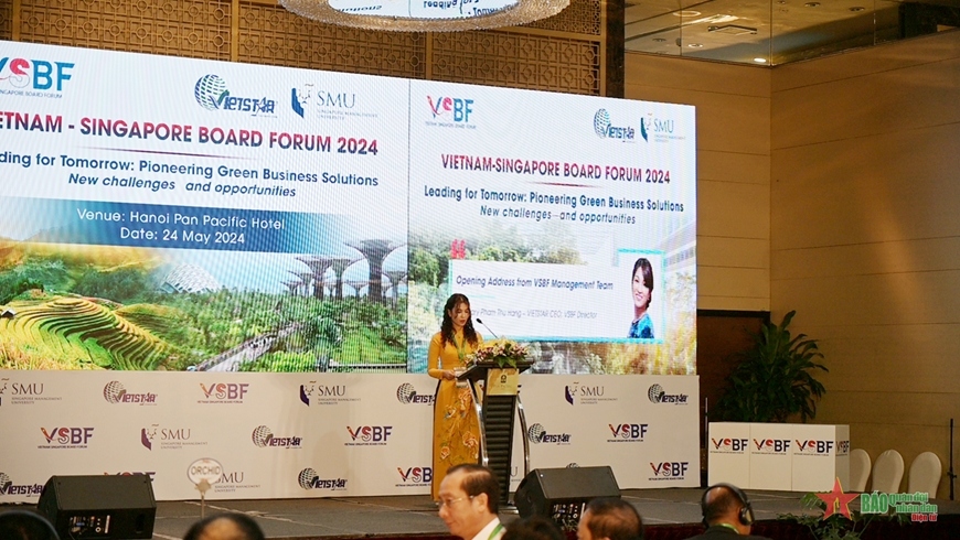 Vietnam, Singapore seek solutions to promote net-zero transition