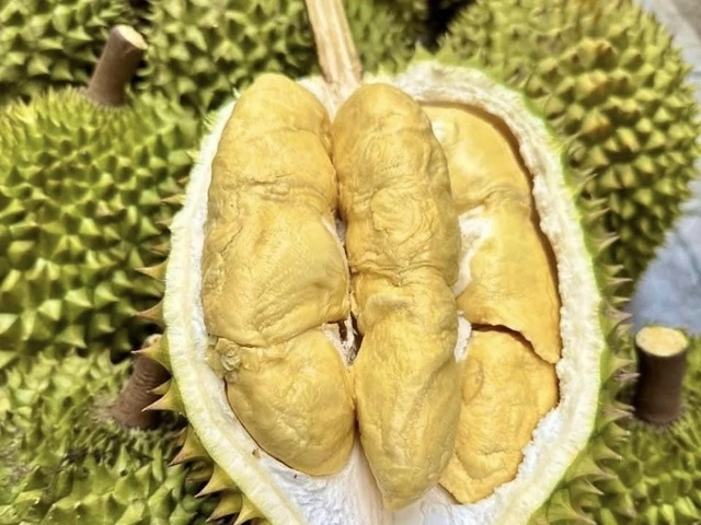 Durian exports to China and Thailand increase sharply