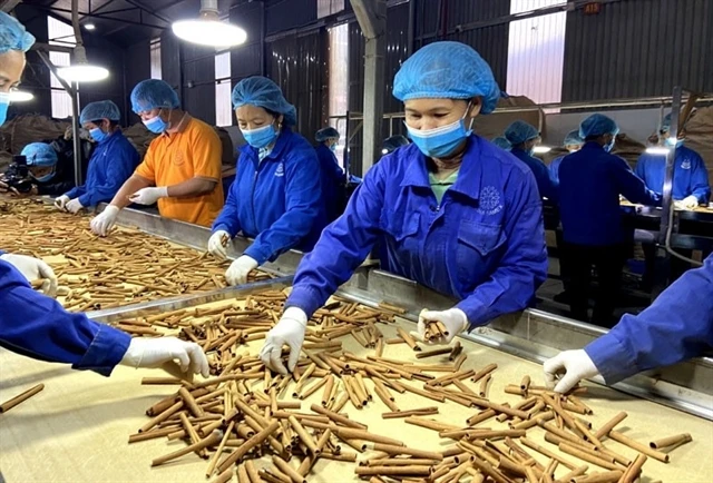 Vietnam s cinnamon exports hits over 96 3 million USD in five months