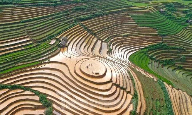 Beauty of Mu Cang Chai terraced fields in flood season