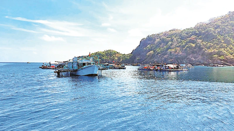 27,000ha -marine reserve to be established in Ca Mau province