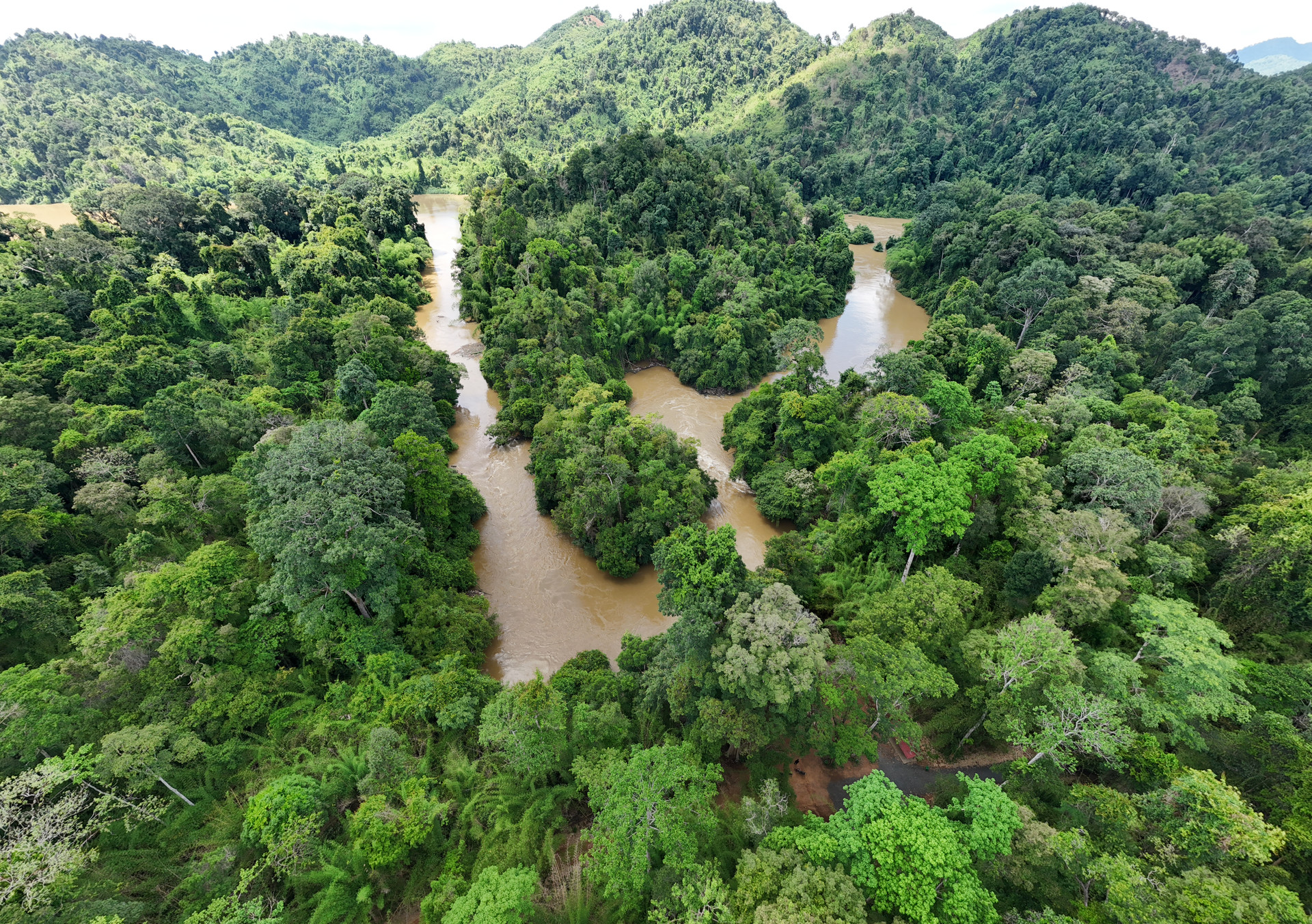 Cat Tien National Park achieves IUCN green list title