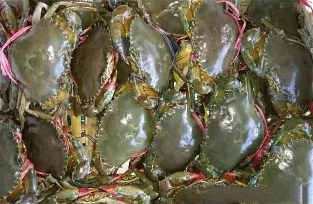 Vietnam’s crab exports to China in five months soar by 502