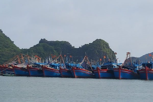 Vietnam to have 173 fishing ports by 2030