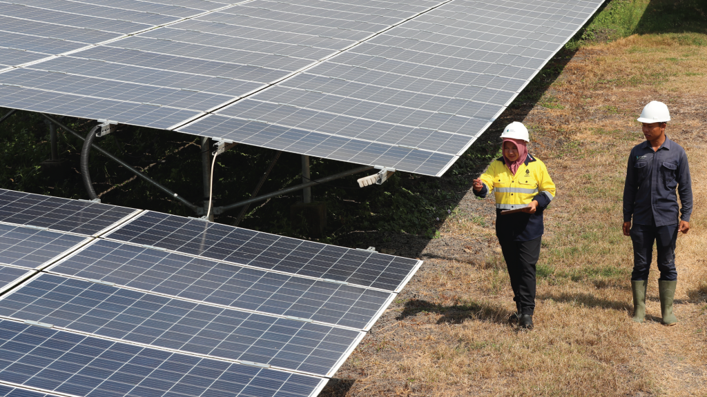 Canada launchs new fund to support private sector climate action and nature-based solutions
