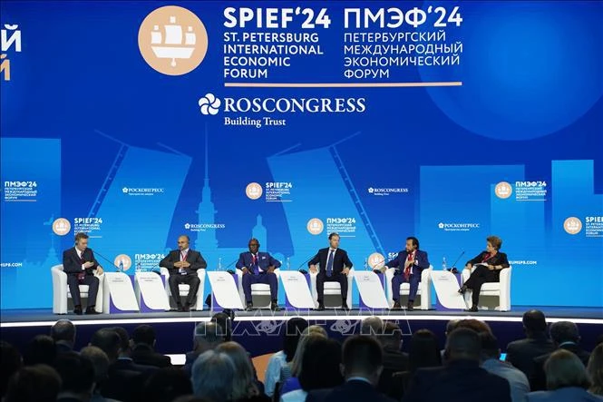 Vietnam highlights solidarity, cooperation to overcome common challenges