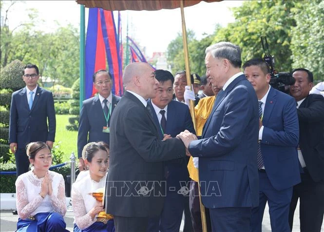 Cambodian King hosts welcome ceremony for Vietnamese President