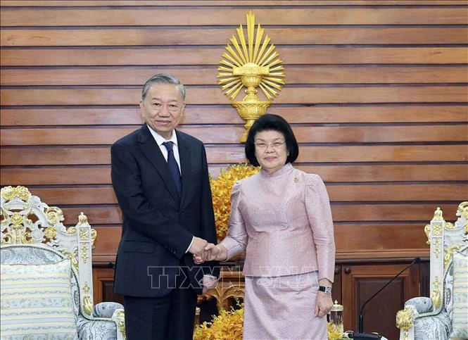 President To Lam meets Cambodian NA President