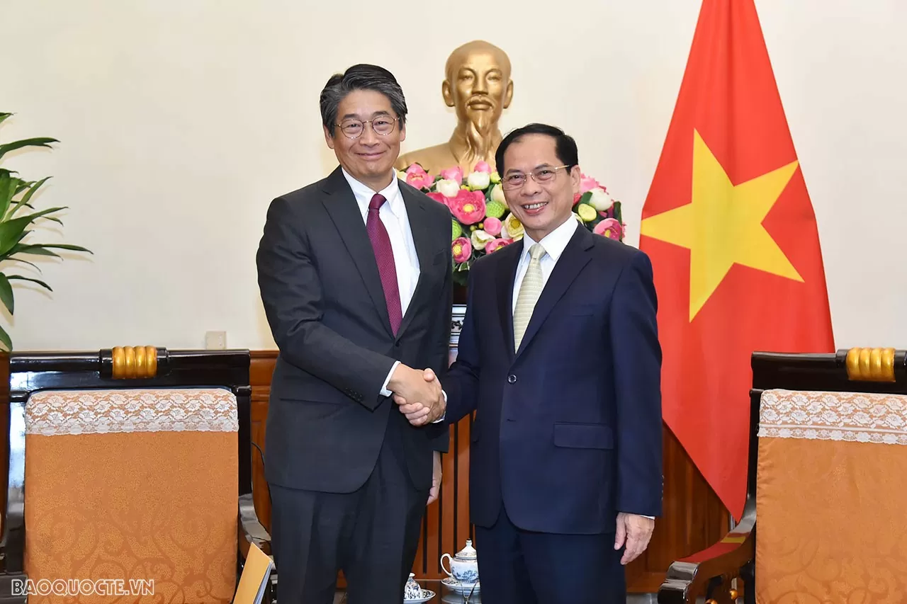 Vietnam promotes practical cooperation with Japan in new areas