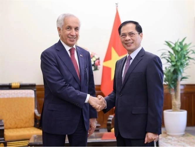 Foreign minister praises outcomes of Vietnam-Qatar political consultation