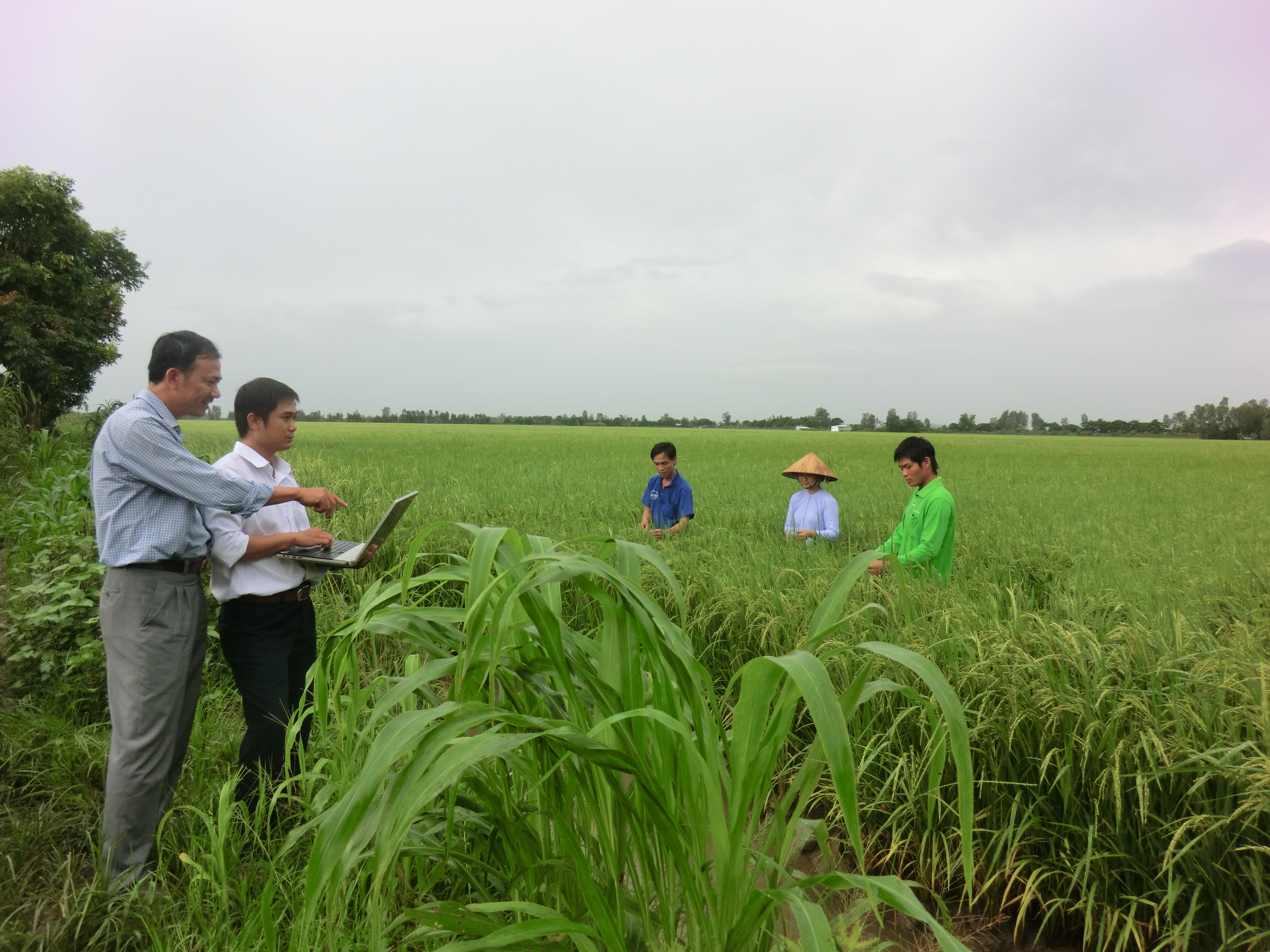 Australia supports sustainable agriculture innovations in Vietnam