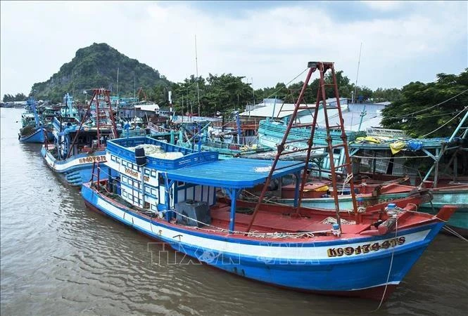 Thanh Hoa, Quang Tri step up efforts to combat IUU fishing