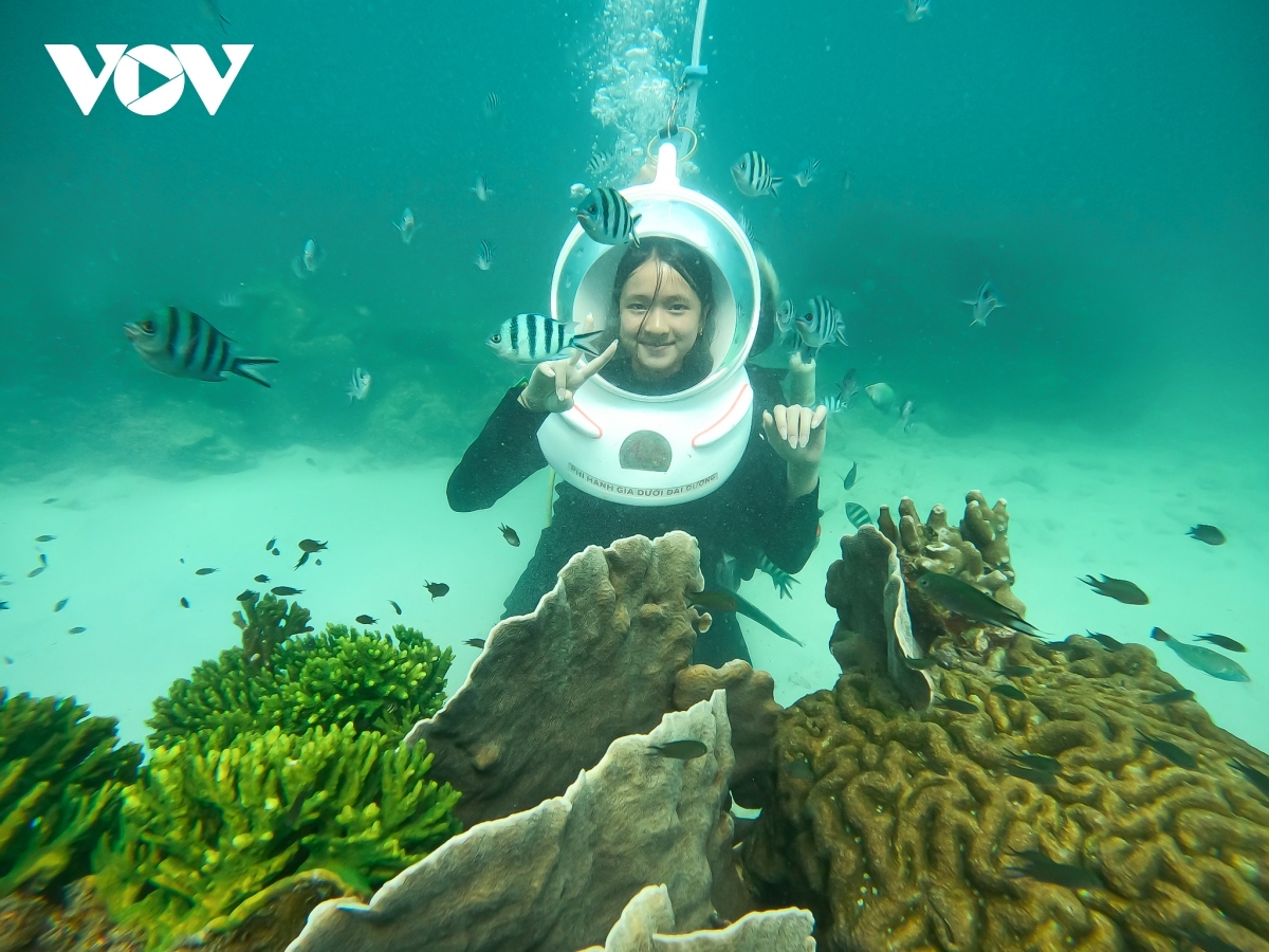 Nha Trang ranked top five destinations in Asia for diving