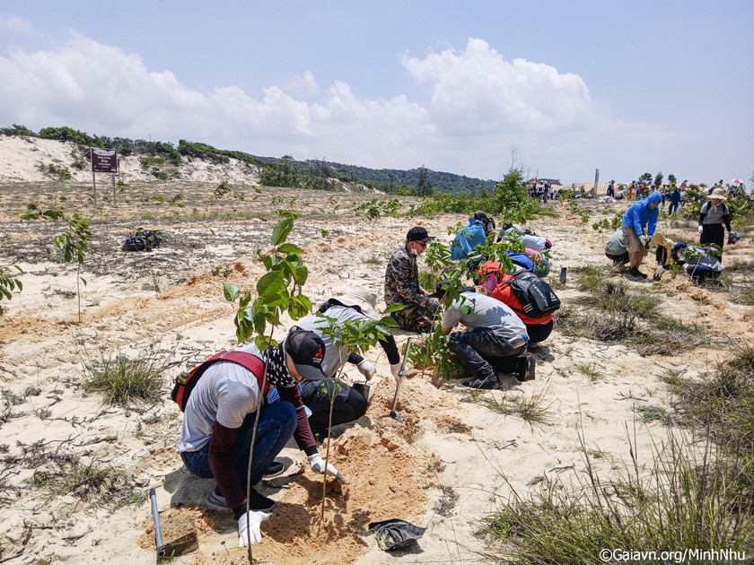 Gaia plants forest at Ta Kou Nature Reserve