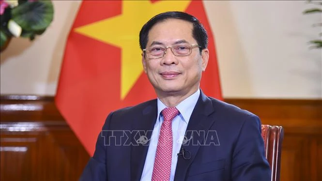 Vietnam-China relationship at deepest, most comprehensive and substantive level ever FM
