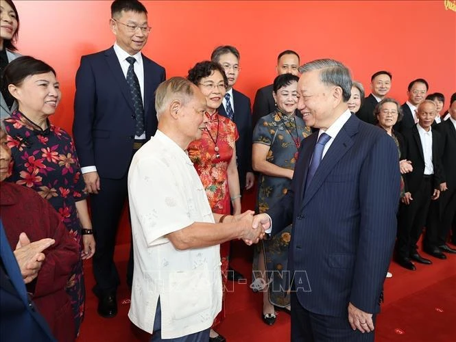 Top Vietnamese leader meets with Chinese representatives of friendship organisations, scholars
