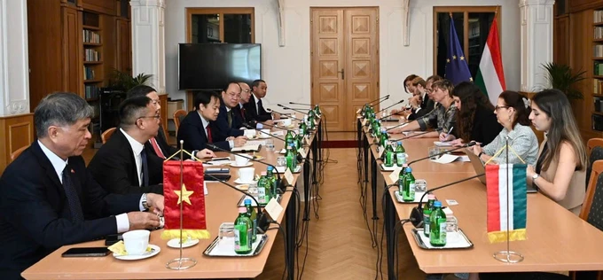 Ho Chi Minh City and Hungary coordinate activities in education and culture
