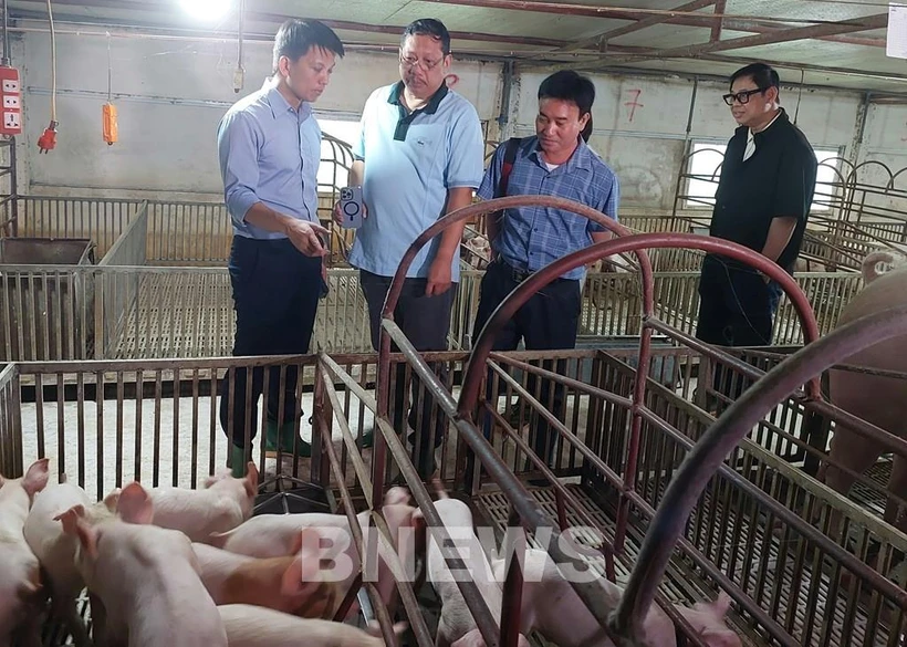 Vietnam to export 150,000 doses of African swine fever vaccine to Philipines