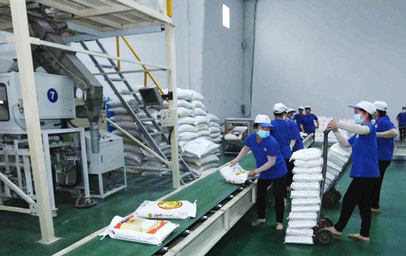 Vietnam affirms position as world s leading rice exporter