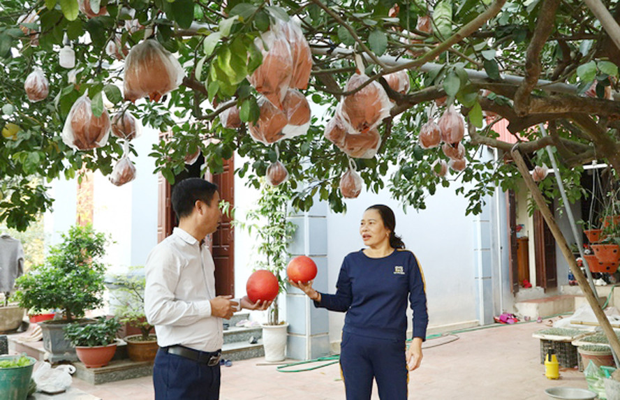 Hanoi expands and develops specialty plants and animals