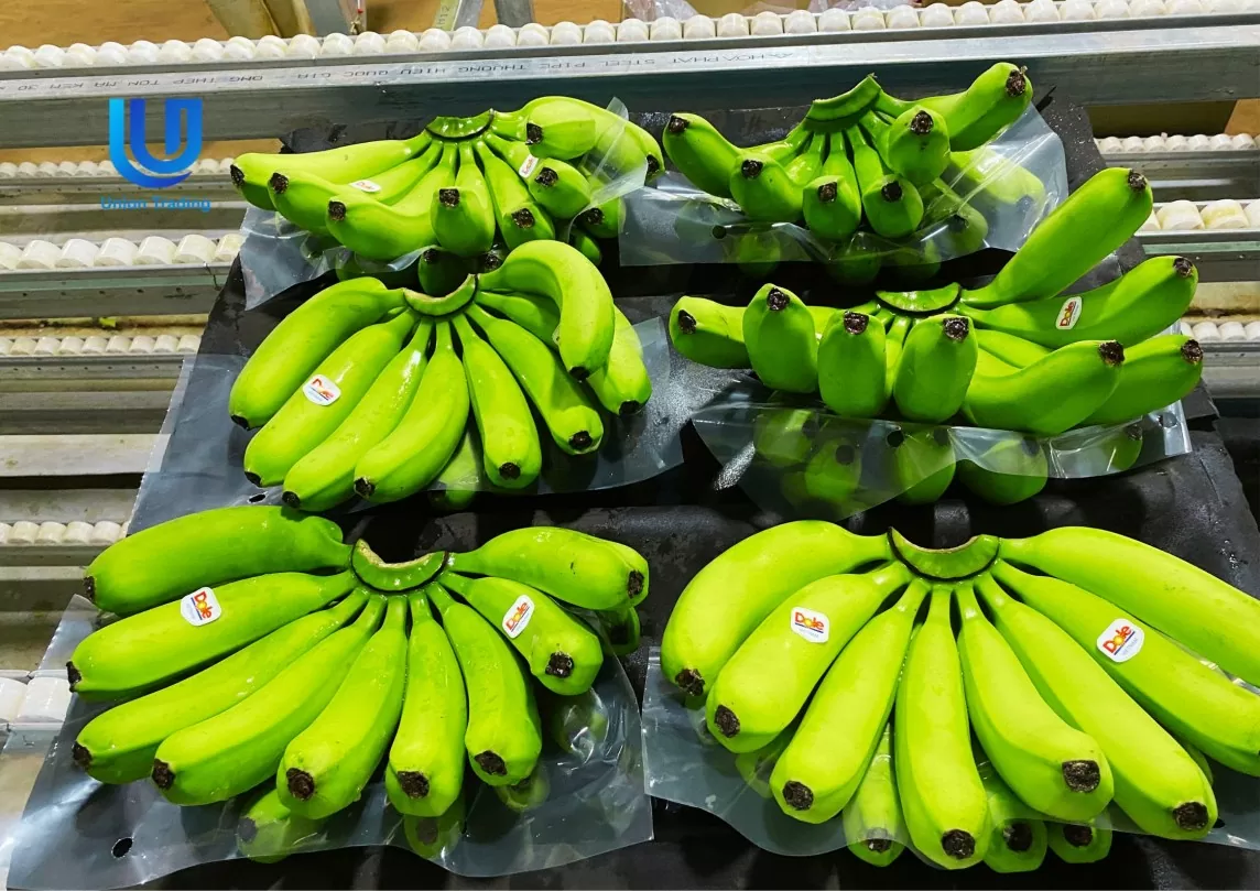 Vietnam becomes largest banana supplier to Chinese market