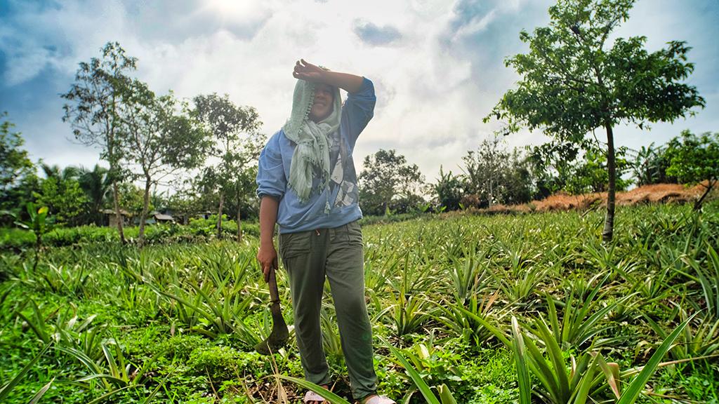 Climate change response in Asia and Pacific held back by insufficient data