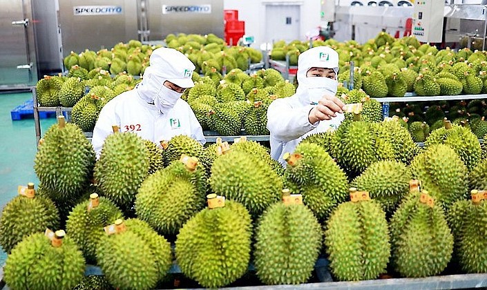 Fruit exports grow by over 30