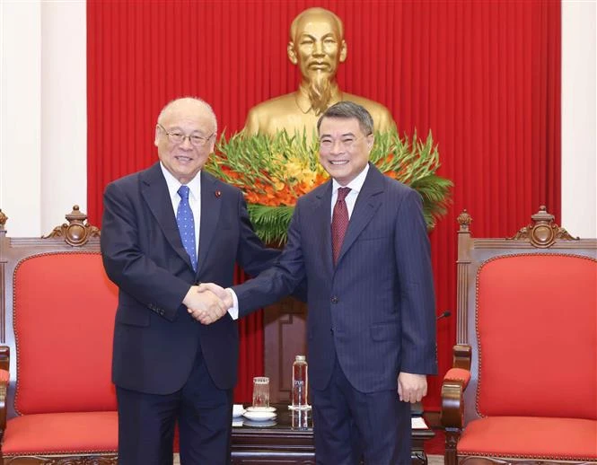 Vietnam treasures comprehensive strategic partnership with Japan Party official