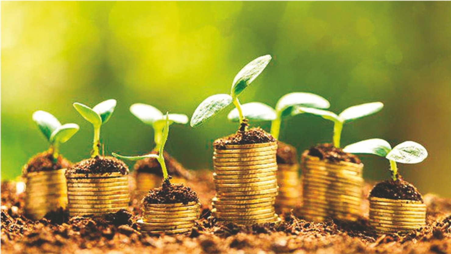 Vietnam seizes opportunities to develop green finance