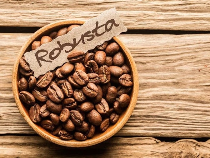 Export price of Vietnamese Robusta coffee beans sharply increases