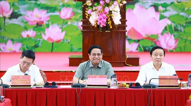 PM leads discussion on high-quality, low-emission rice cultivation in Mekong Delta