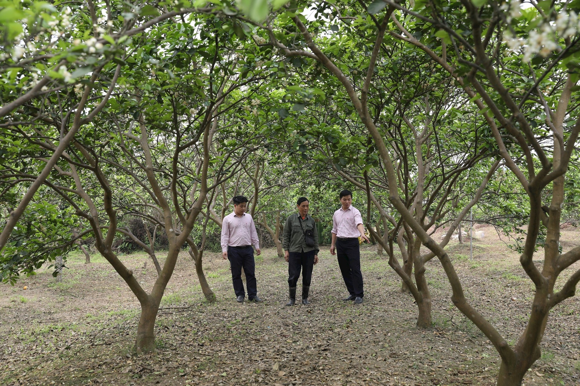 Hanoi Over 96,000 customers receive preferential loans