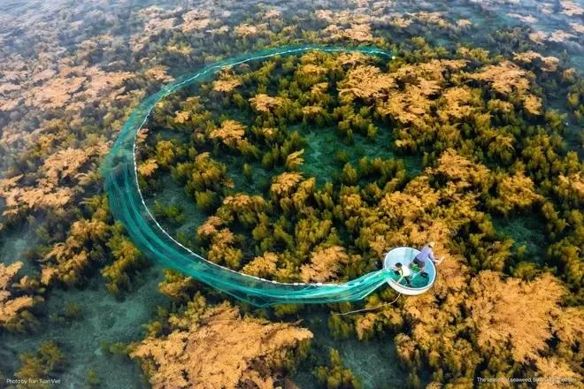 Vietnam ranks among best countries for travelers