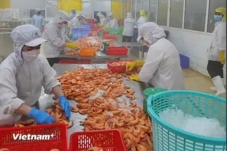 Standard Chartered lifts forecast for Vietnam’s 2024 GDP growth to 6 8