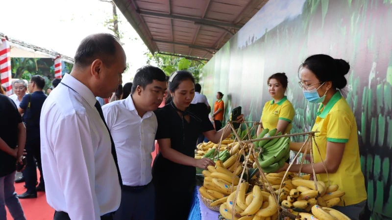 Vietnam becomes largest banana supplier to China