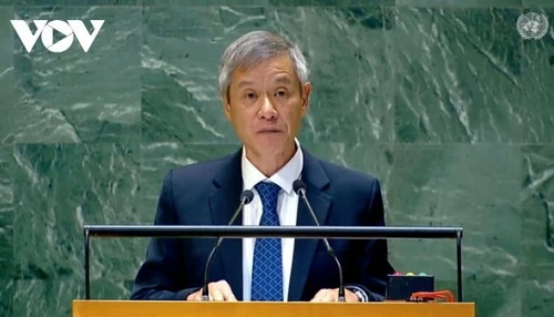 Countries obliged to enforce judgments of International Court of Justice ambassador