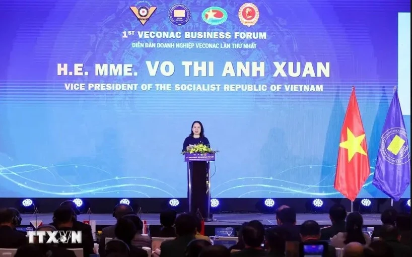 Vietnam to continue backing cooperation of ASEAN veterans’ businesses Vice State President