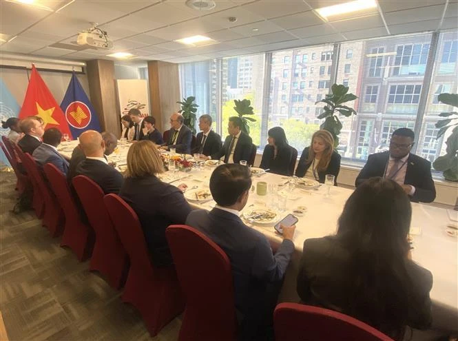 Vietnam chairs working luncheon of UNCLOS Group of Friends founding countries